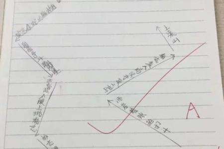 命运密码解锁：官旺格如何改变你的人生轨迹