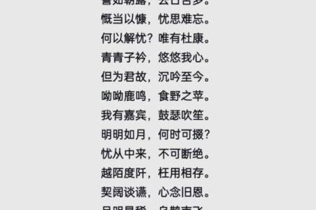 从农耕到现代：中秋节的多重面貌