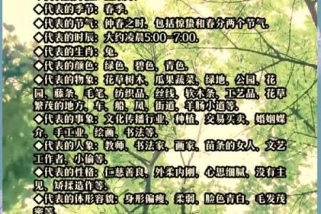 卯五行性格解析：揭秘你的内在潜能与成长路径