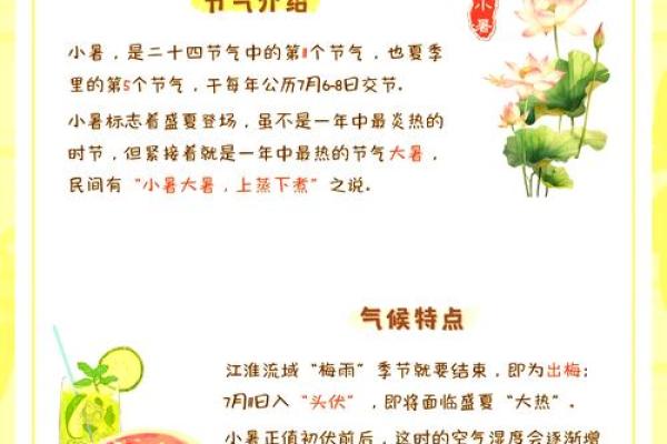 小暑:小暑节气如何保持体内平衡与清爽 小暑:小暑节气如何保持体内平衡与清爽