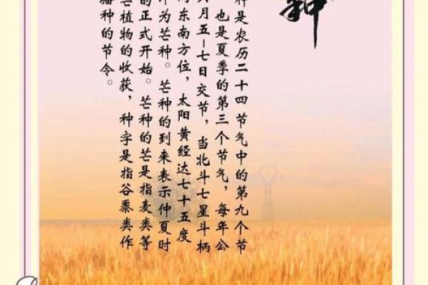 古人如何在芒种节气祈求丰收与安康 古人如何在芒种节气祈求丰收与安康