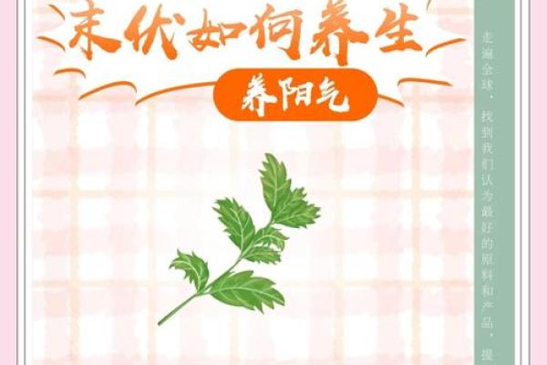十一月养生小贴士:秋冬交替时节的健康保养秘诀 十一月养生小贴士:秋冬交替时节的健康保养秘诀