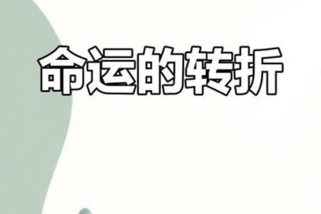 如何改变命运?颠覆传统命理观念,命理树能带来意想不到的转机