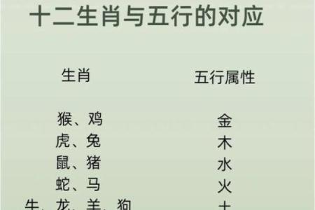 狗字五行格局大揭秘：避开误区，找到你的性格真谛