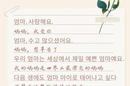 如何在母亲节通过传统习俗表达爱意