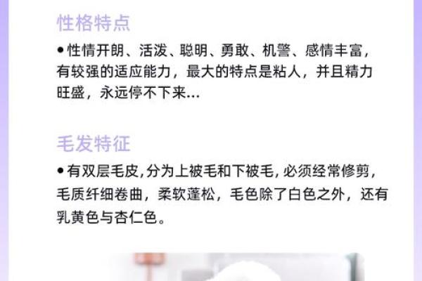 性格解析:如何根据五行格局了解宠物个性 性格解析:如何根据五行格局了解宠物个性