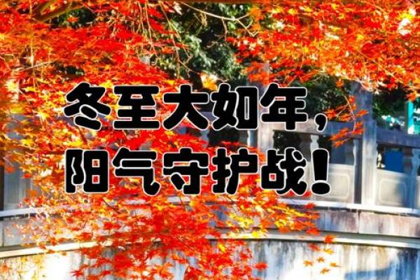 节庆中的天文现象:冬至日的太阳与星辰 节庆中的天文现象:冬至日的太阳与星辰