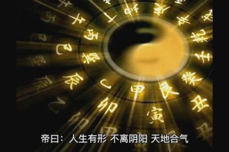 性格重塑指南:戌五行格局,如何反其道而行之?