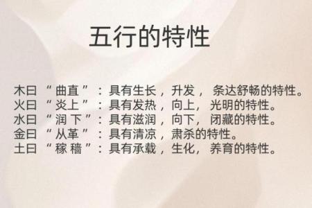象的五行属性揭秘:性格解析中的误区与颠覆性见解