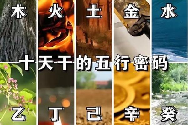 五行格局误区大揭秘:晓的性格特质,你真的了解吗? 五行格局误区大揭秘:晓的性格特质,你真的了解吗?
