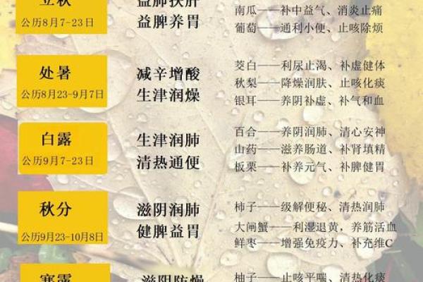 藏族节日的养生习俗：从饮食到运动的全方位保健