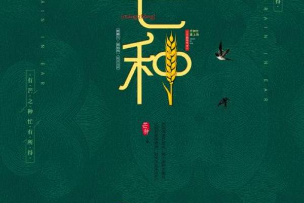 网络节日与传统节令的连接:科技与习俗的共舞 网络节日与传统节令的连接:科技与习俗的共舞