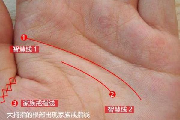 伏马命理的秘密:如何揭开命运的暗藏玄机 伏马命理的秘密:如何揭开命运的暗藏玄机