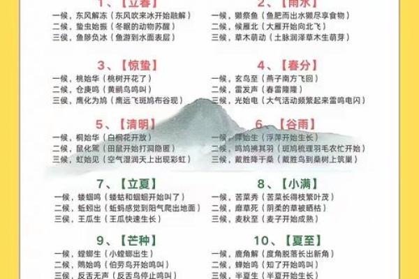 中国传统节日背后的养生智慧与季节性变化