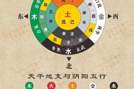 旭五行属性性格解析:跳出传统框架,揭秘如何通过五行改变命运