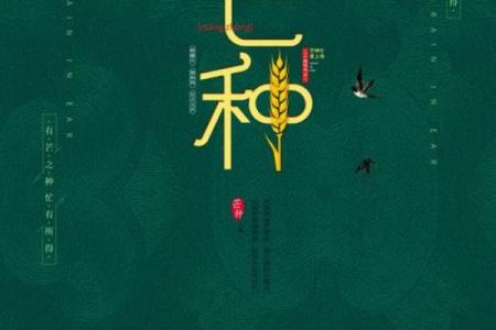 网络节日与传统节令的连接：科技与习俗的共舞