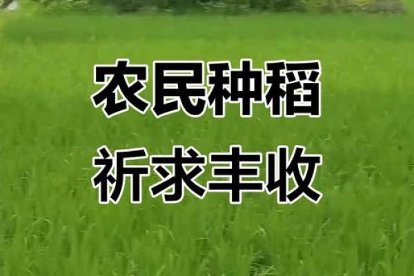 六月的农耕文化:农忙时节与丰收的期盼 六月的农耕文化:农忙时节与丰收的期盼