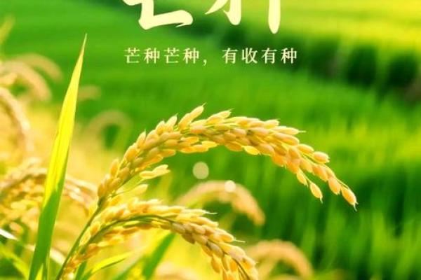 六月的农耕文化:农忙时节与丰收的期盼 六月的农耕文化:农忙时节与丰收的期盼