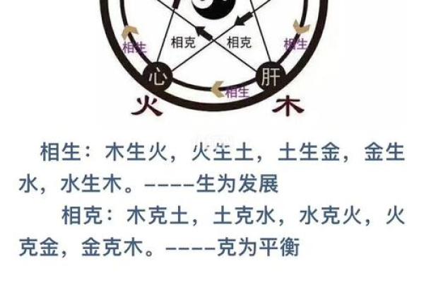 胃五行揭秘:性格密码大公开,如何调整你的五行格局? 胃五行揭秘:性格密码大公开,如何调整你的五行格局?