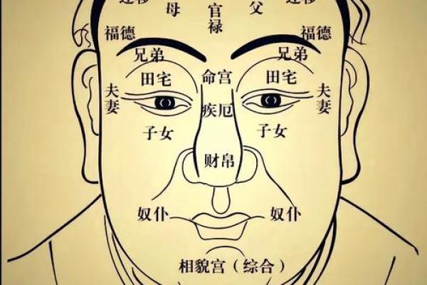 两腮变命理:命运密码解锁,你的面相是否暗藏玄机? 两腮变命理:命运密码解锁,你的面相是否暗藏玄机?