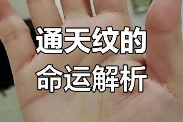 你的抬头纹透露了什么?命运密码大揭秘 你的抬头纹透露了什么?命运密码大揭秘