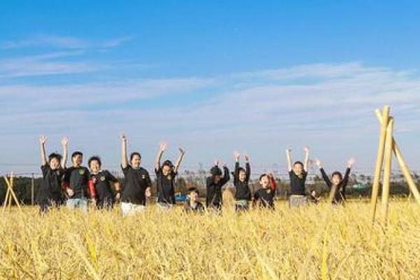 日本日背后的农耕文化与丰收庆典 日本日背后的农耕文化与丰收庆典