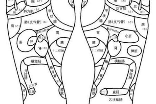 脚命理解密:命运密码背后的暗藏玄机,你是否已经发现? 脚命理解密:命运密码背后的暗藏玄机,你是否已经发现?