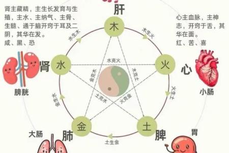 五行格局如何影响人际关系?性格解析的实用指南