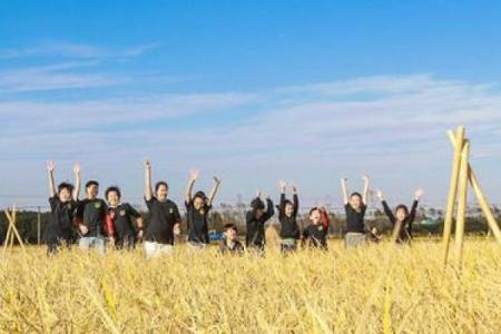 日本日背后的农耕文化与丰收庆典