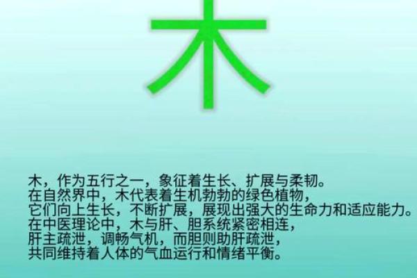 五行锐字颠覆传统:揭秘性格塑造的全新视角 五行锐字颠覆传统:揭秘性格塑造的全新视角