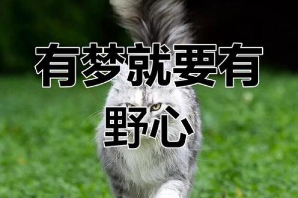 霖字五行格局大揭秘:如何改变命运,成就非凡人生? 霖字五行格局大揭秘:如何改变命运,成就非凡人生?