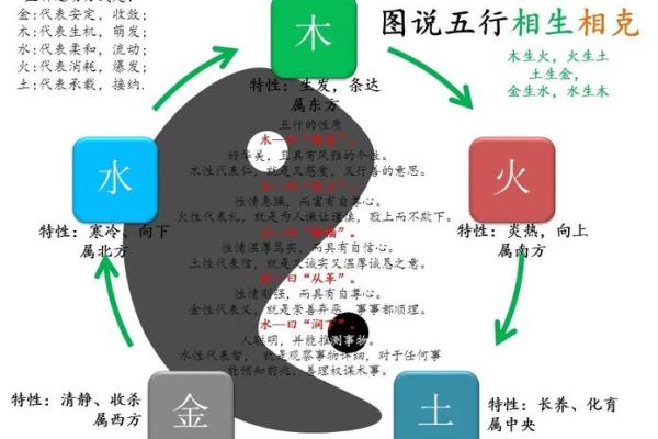 五行性格解析：颠覆传统认知，揭秘你的真正潜力
