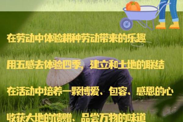 绿色农耕日:回归田园,感受大地的馈赠 绿色农耕日:回归田园,感受大地的馈赠