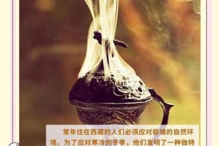 体验藏族传统节日中的自然与生命节律