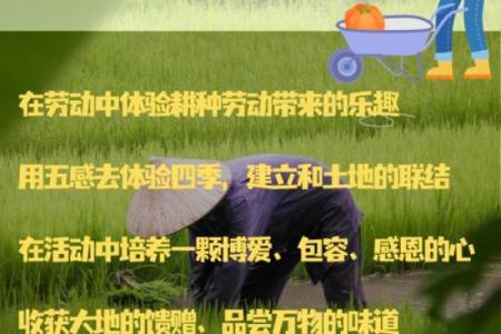 绿色农耕日：回归田园，感受大地的馈赠