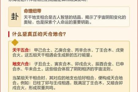 四柱命理与命运密码的神秘联系,如何让它为你服务