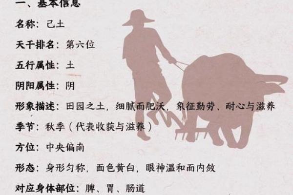 漠五行性格解析:揭秘你的内在五行格局 漠五行性格解析:揭秘你的内在五行格局