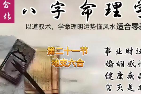 吕氏八字命理软件：如何打破命运的枷锁，改变未来的关键误区