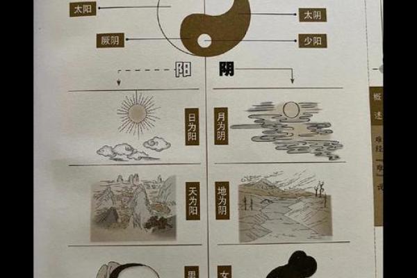 颠覆传统五行观念:性格塑造的全新视角 颠覆传统五行观念:性格塑造的全新视角