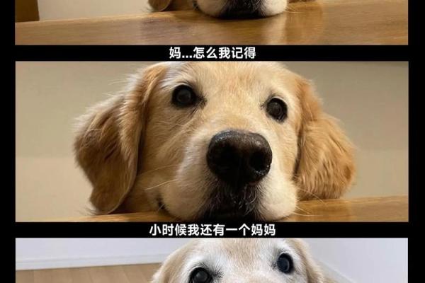 颠覆常识：左眉毛白毛藏着改变命运的钥匙，你可能一直误解了它的真正意义