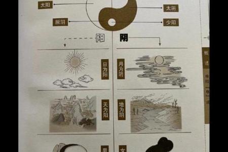 颠覆传统五行观念:性格塑造的全新视角