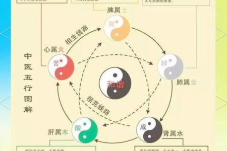 五行格局颠覆传统:揭秘性格与健康的秘密,反而这样做更健康