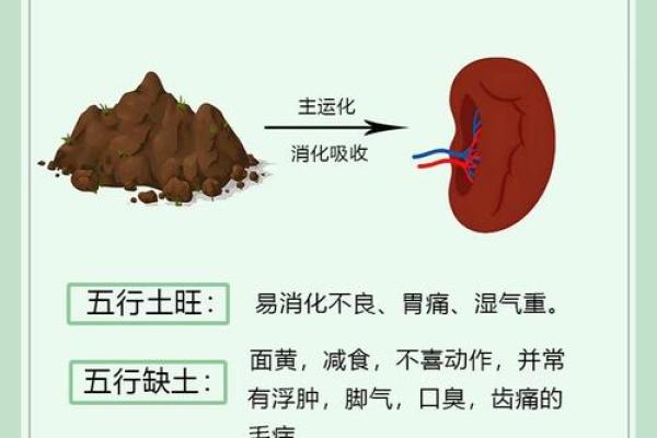肾五行格局揭秘:性格解析,如何改变你的命运走向? 肾五行格局揭秘:性格解析,如何改变你的命运走向?