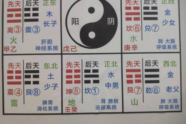 肾五行格局揭秘:性格解析,如何改变你的命运走向? 肾五行格局揭秘:性格解析,如何改变你的命运走向?