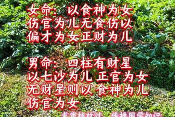 八专日命理解析:你是否误入了命运的误区? 八专日命理解析:你是否误入了命运的误区?