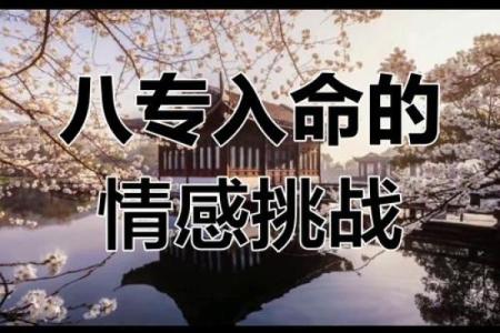 八专日命理解析：你是否误入了命运的误区？