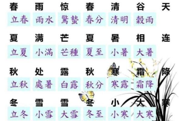 节气与休假:如何通过农历节气安排健康生活 节气与休假:如何通过农历节气安排健康生活