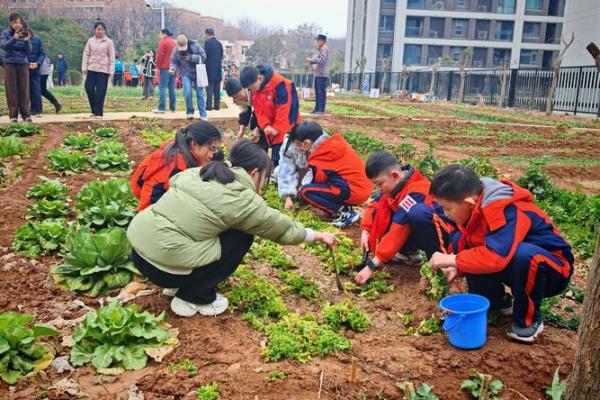 劳动节背后的农耕文化与现代工作精神 劳动节背后的农耕文化与现代工作精神