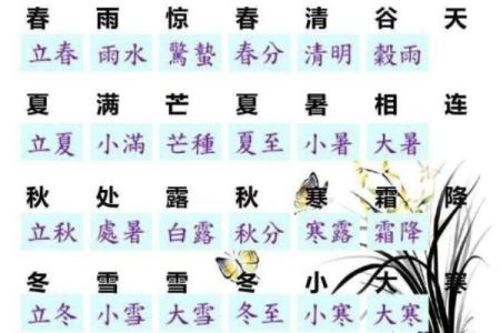 节气与休假：如何通过农历节气安排健康生活