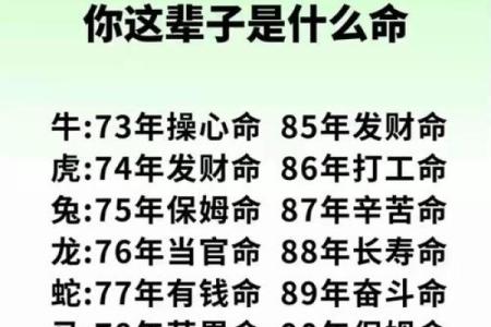 如何改变命运？真正的命理大师揭示八字中的深层玄机